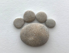 Paw Print Rocks Pet Pawprint Beach Stone Dog Cat Puppy Kitten Memorial Craft P2