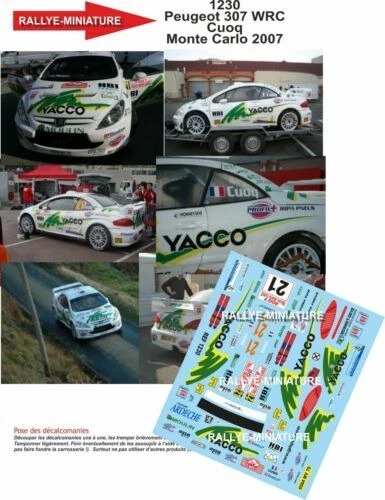 Modellini statici di auto da corsa Rally Tamiya Scala 1:24