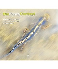 Bio photo contest 2015. Rivers, lakes, marshes and lagoons