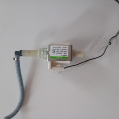 saeco xelsis Ersatzteile Wasserpumpe 