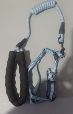 Small Animal Harness w/leash Size S