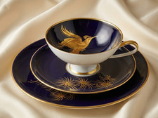 Hutschenreuther Porzellan 1 Teller Tasse Untertasse Antiquität Sammlerset