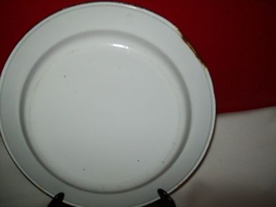 556007_3