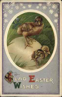 WINSCH EASTER Baby Chicks Hatching c1910 Postcard