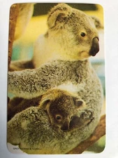 VINTAGE 1970s Greythorne Swap Card Australian Native Animal Koala & Baby Gumtree
