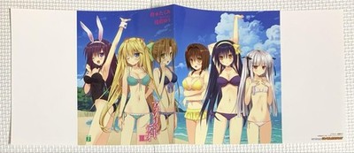 Absolute Duo Book Jacket Julie Tomoe Imari Lilith Miyabi Rito Gamers Benefits