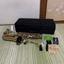 SELVA alto saxophone SAS-100 with case wind instrument music