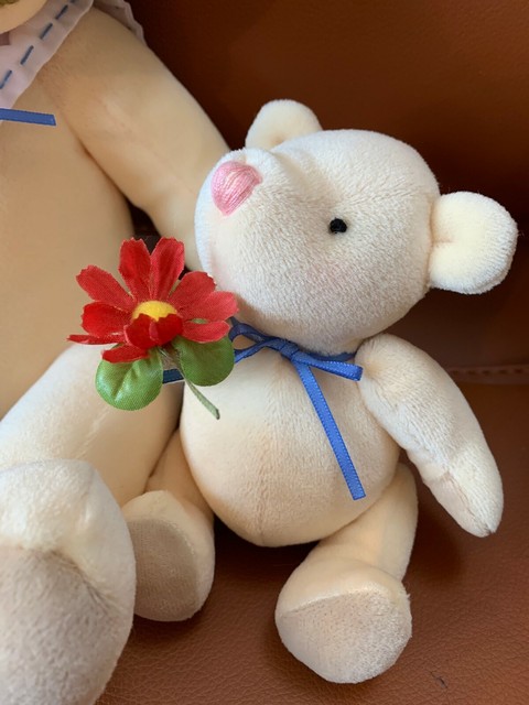 NEW With Tags. Hallmark Annabelle & Breezy Mother & Baby Bear Plush Stuffed CUTE | eBay