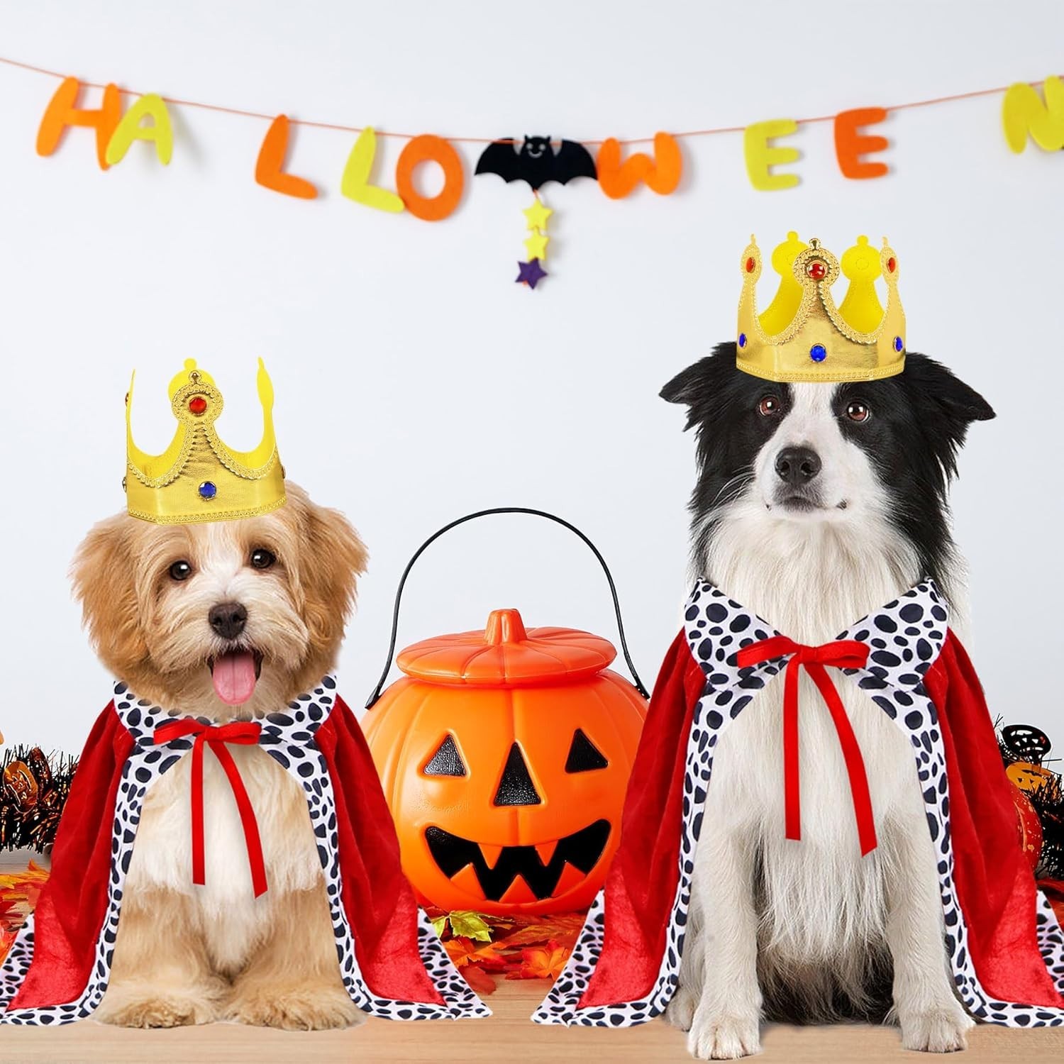 Dog King Costume Set with Cloak and Crown for Small to Large Dogs