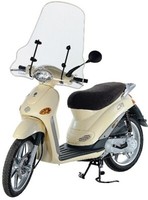 Komplettscheibe Piaggio Liberty 50 125 150 1997 1998 1999 2000 2001 2002
