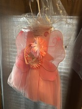 Princess Expressions Pink Fairy Costume Set with Wings, Headband, Tutu Daisy