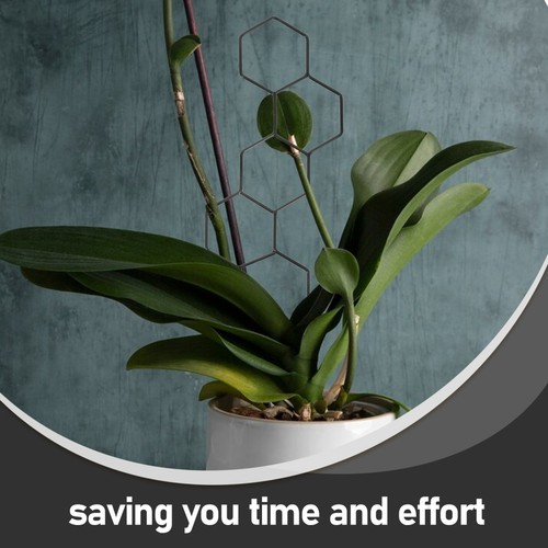  2pcs Indoor Trellis for Climbing Plants Metal Plant Supports for Potted Plants - Zdjęcie 10 z 12