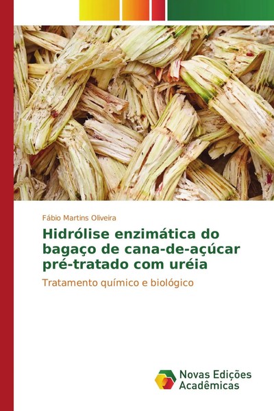 FáBio Martins Oliveira | HidróLise EnzimáTica Do BagaçO De Cana-De-AçúCar...-image