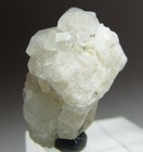 SPECIAL PHENAKITE  PHENACITE CRYSTAL CLUSTER ON MATRIX!!! MT ANTERO COLORADO — photo 5