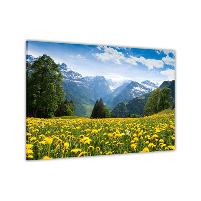 Blumenfeld Berge Leinwand Wandbild Bild Druck