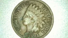 1891 Indian Head Cent – VG8 Details – Environmental Damage (ED) – Verdigris Spot