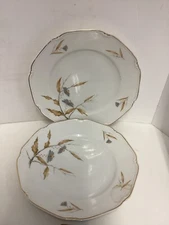 Thomas ROSENTHAL Germany 9½" Dinner Plate X2