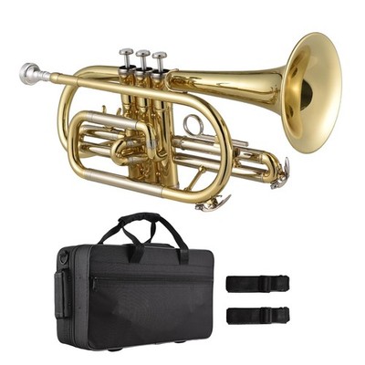 Bb Cornet Brass Instrument Surface Paint Gold Treatment Professional Brass Co...