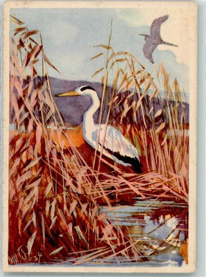 39888937 - A Heron in the Reed Grass Advertising Postcard Eduscho Coffee Bremen Bird 1934