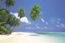 Poster Studio B - Maldive Morning Beach Ocean Sand 24x36" NEW Wall Art CJ2834