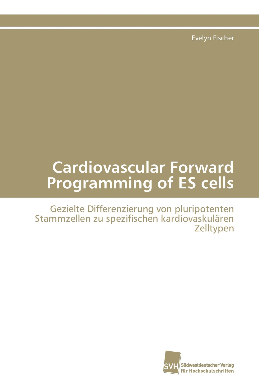 Thumbnail - Cardiovascular Forward Programming Of Es Cells | Evelyn Fischer (u.
