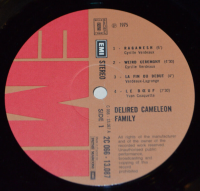 洋楽 Delired Cameleon Family Delired Cameleon Family | Delired Cameleon Family | Wah Wah