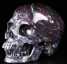 Huge 5.0" Chicken Bloodstone Carved Crystal Skull,Super Realistic,Crystal Healin