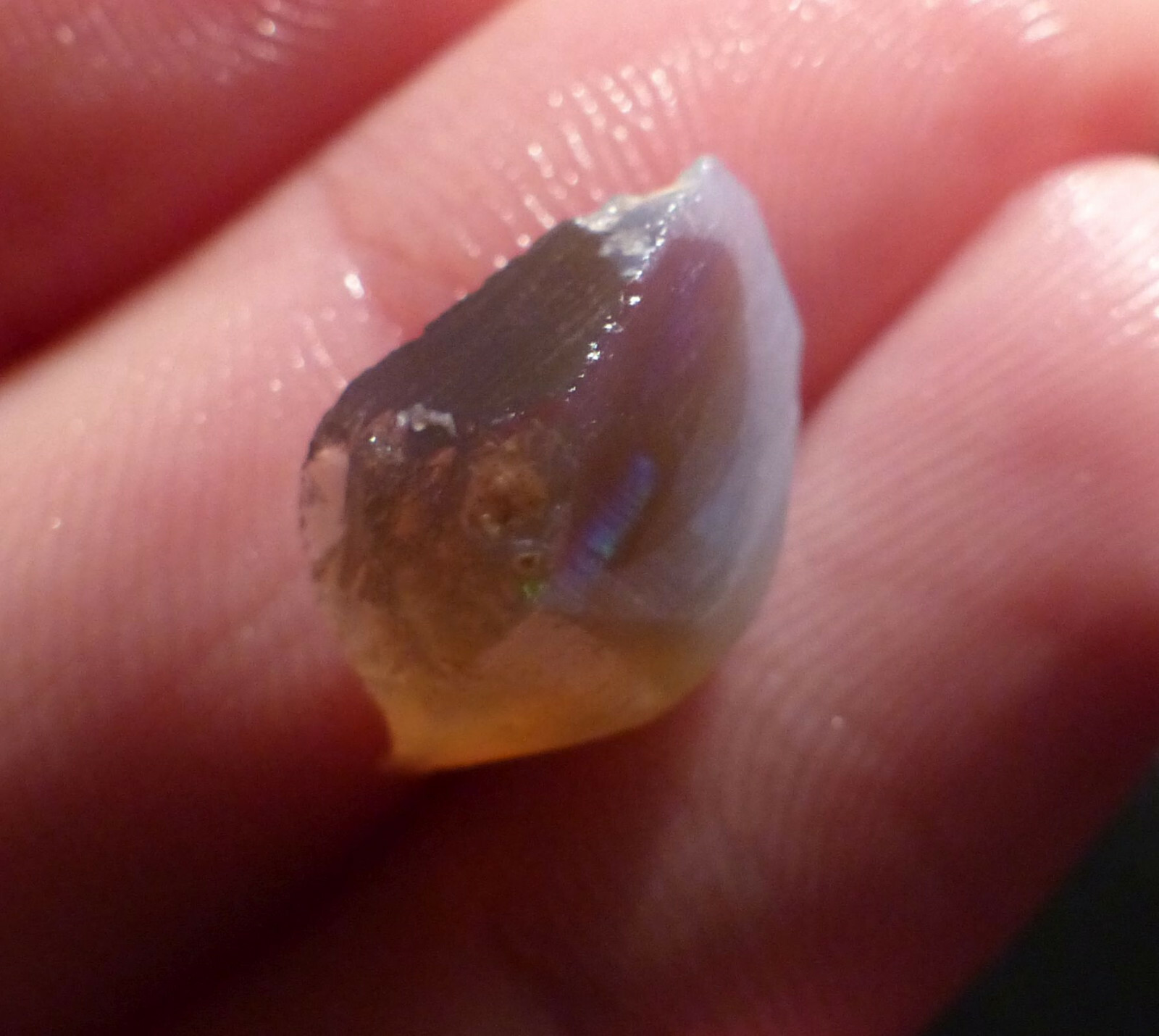 O&co Australian black rough opal Lightning Ridge 3.95ct opale noire eBay