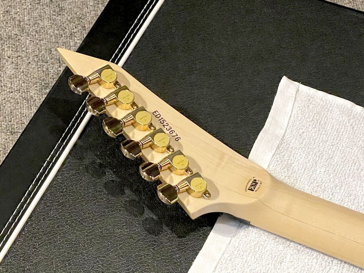 EDWARDS  E-PV-143 サーキット vパンサーmodel EDWARDS エドワーズ E-PV-143【PANTHER Model THE CYCLE】 送料