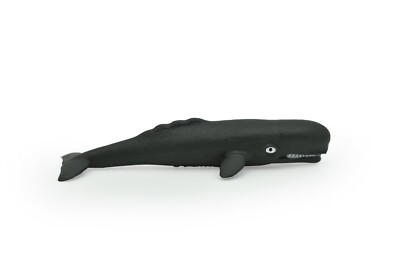 Sperm Whale, Plastic Replica 3