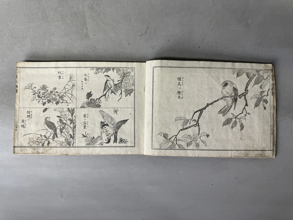 Y9032 IMPRESIÓN EN BLOQUES DE MADERA Libro ilustrado japonés Japón Ukiyoe documento antiguo Foto 3 de 4