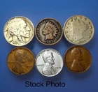 Lot Indian Head Cent, Liberty V & Buffalo Nickel, Steel & 2 Pennies-Mixed Dates