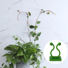 Self Adhesive Plant Climbing Wall Clips Vine Rattan Support Hooks Garden