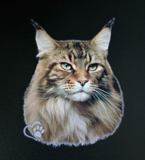 Adesivo Maine-Coon Sticker Gatto Maine Coon HD Quality Filtro UV 12X12CM AUTO