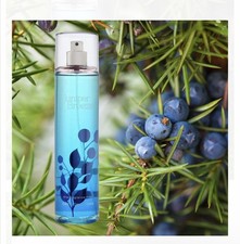 BATH  BODY WORKS JUNIPER BREEZE FRAGRANCE BODY MIST SPRAY 8 FL OZ