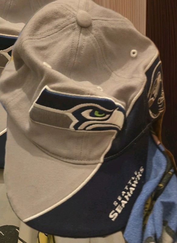 Seahawks Fitted Har