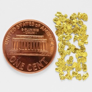 0.8277 Gram Alaska Natural Gold Nuggets (#80919 14) Alaskan Gold Nuggets