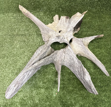 Natural Unique DRIFTWOOD Log Fish Home Aquarium Decor Reptile  Trunk Roots Tunnel