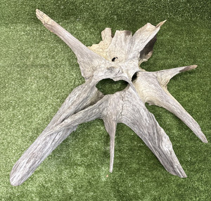 Natural Unique DRIFTWOOD Log Fish Home Aquarium Decor Reptile•Trunk Roots Tunnel