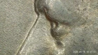 1974-D Kennedy 1/2 Dollar w/STG-O & R/DDD-O & R.  $ & get a free coin
