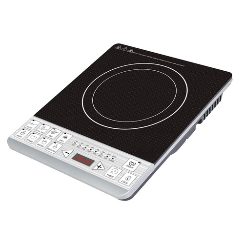 portable induction hot plate