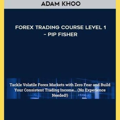 Adam Khoo Forex Trading Course Level 1 Pip Fisher Ebay - 