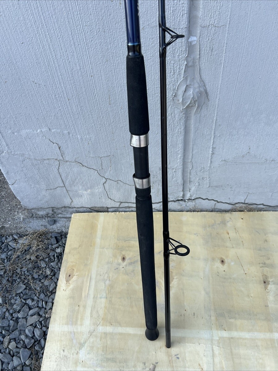 Daiwa D-Wave Saltwater Spinning Combo (2 Piece) DWA F1002MFS
