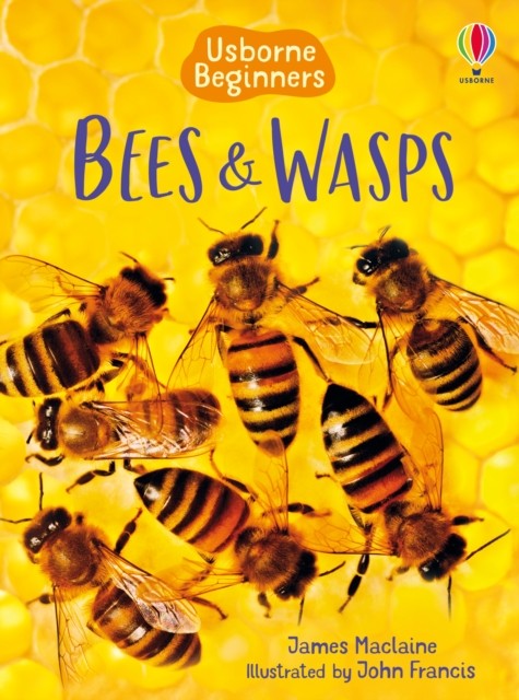 Bees and Wasps by James Maclaine (Hardback Book)