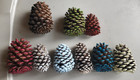 Lot of 30 Fresh Natural painted pine cones small & medium for crafts decorations — photo 1