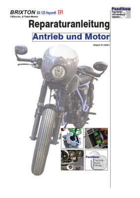 Reparaturanleitung RIS Brixton BX 125 Haycroft, EFI, Antrieb und Motor