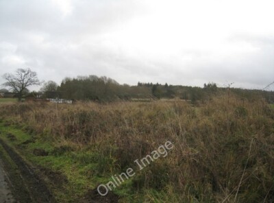 Photo 6x4 Lifeless roadside Charter Alley The contrast between the season c2011