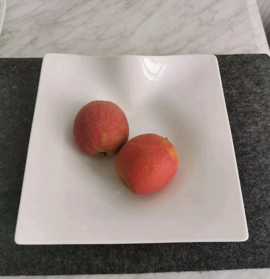 Villeroy & Boch Cera Teller Pasta Suppe 28x28 cm Obstschale - Top ❤️