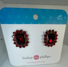 Lindsay Phillips Snaps Beautiful for The Holidays New In Package