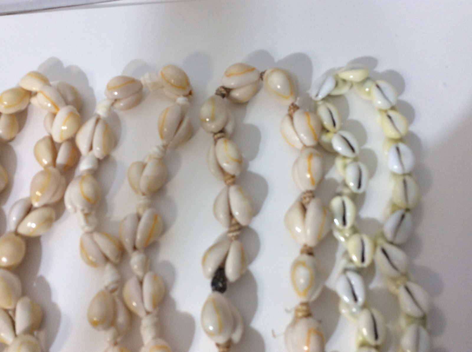 Five Large Seashell Necklaces - image 6